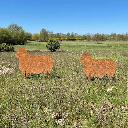 Appartement Rose By Interhome Zarrentin (Vorpommern-Rugen)