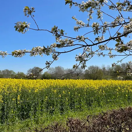 Appartement Rose By Interhome