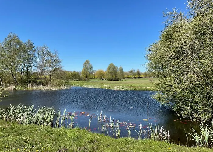 Rose By Interhome Zarrentin (Vorpommern-Rugen)