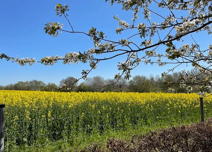 Appartement Rose By Interhome